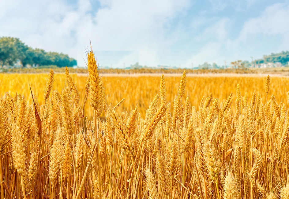 w66.利来(中国区)_来利国际旗舰厅