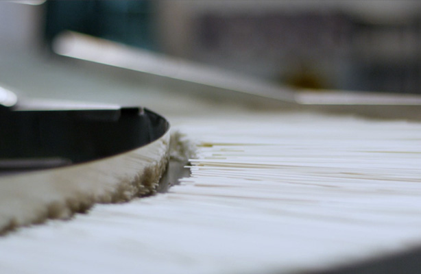 面条为什么会生虫？